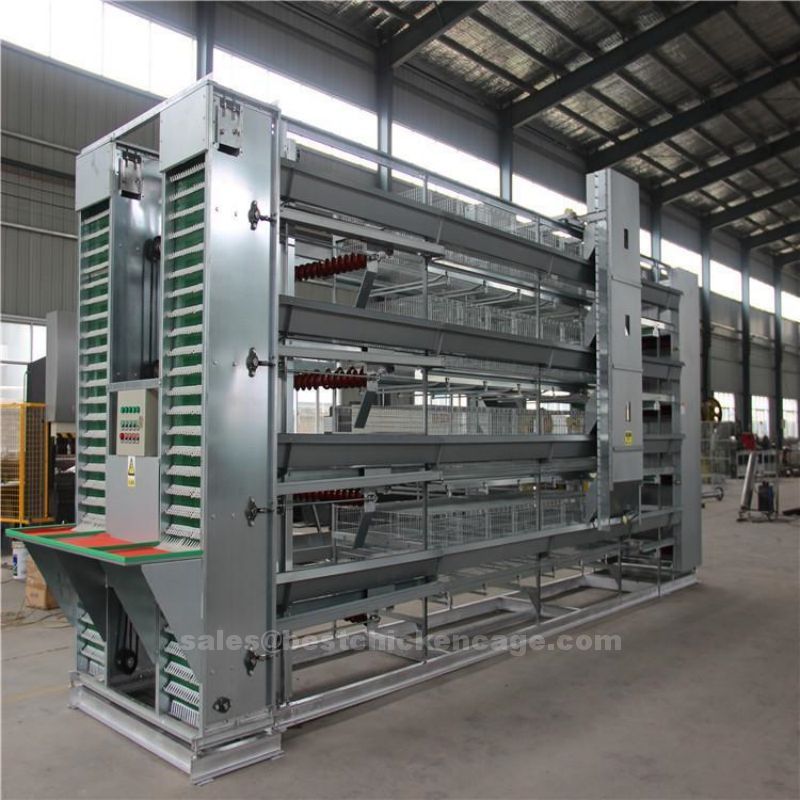 鸡笼或蛋鸡笼H (54).jpg Benefits of battery cages for layers providing an affordable option for poultry farmers higher productivity
