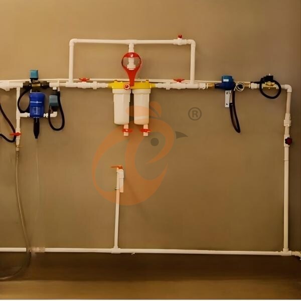 battery cage system for layer