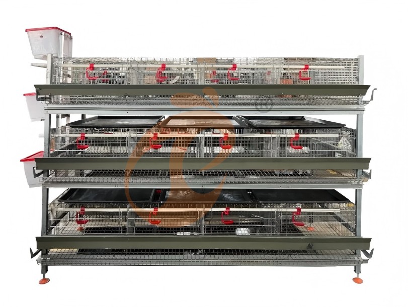 battery cage system for broiler (1)