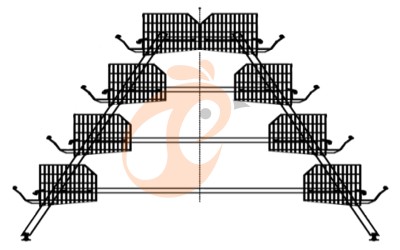 battery cage system for broiler (6)