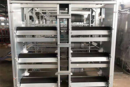 Luoto finished broiler project of 500,000 broilers