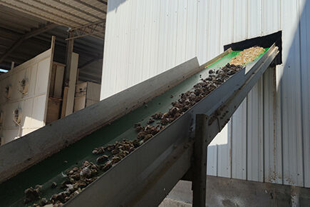 Luoto finished chicken manure drying poultry farm 