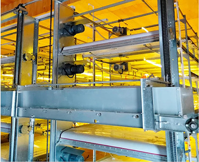 The efficiency of broiler cage in poultry farm (3 