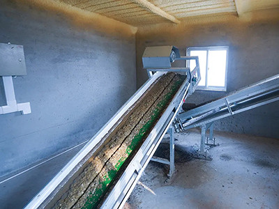 The poultry farm with chicken cage in Thailand (4)