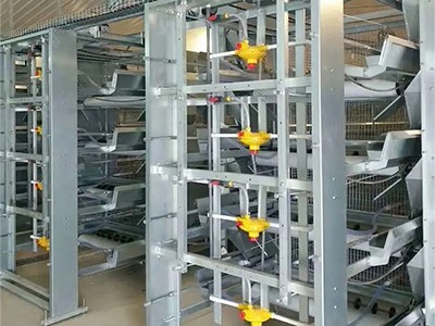 The poultry farm with chicken cage in Thailand  (3