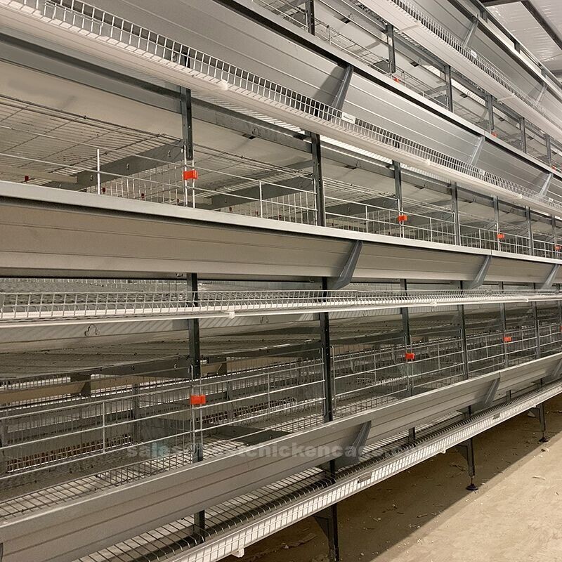 Why maintenance o layer chicken cage check the feeding and watering systems regularly to ensure they are functioning properly