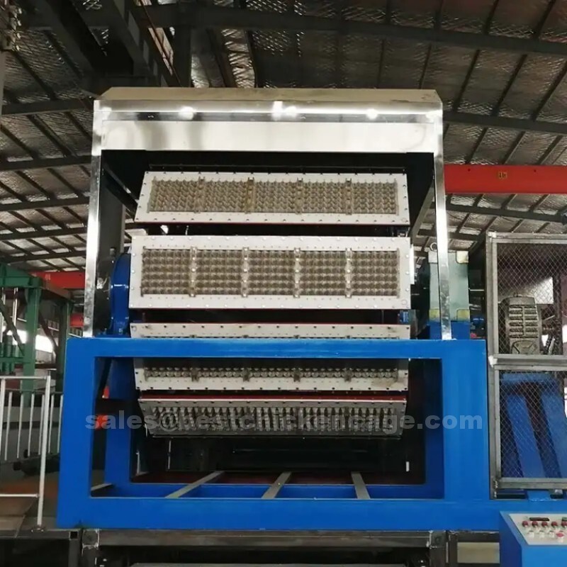 Rotary egg tray machine uses waste paper as raw material it is widely adopted in industries that require eco-friendly packaging solutions
