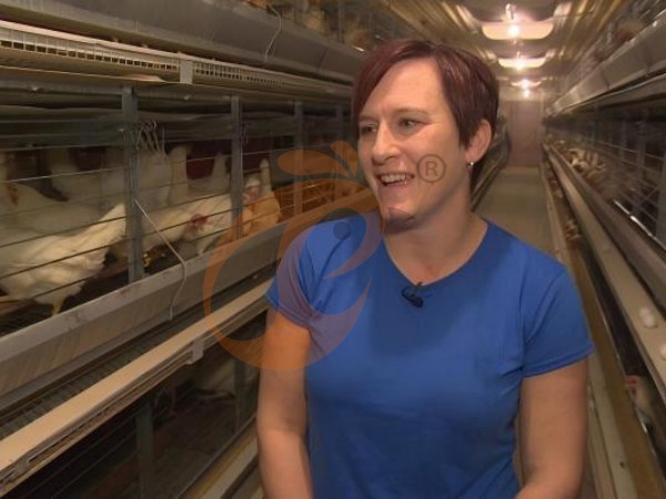 H A chicken battery cage for layers in poultry farm (52)