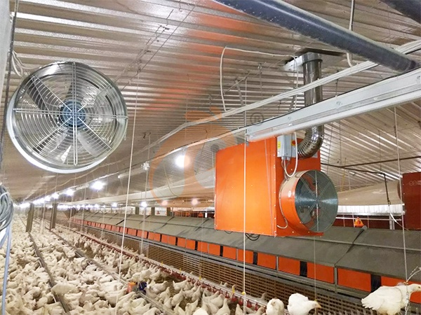 Cómo elegir ventiladores de ventilación avícola en Etiopía para controlar el calor