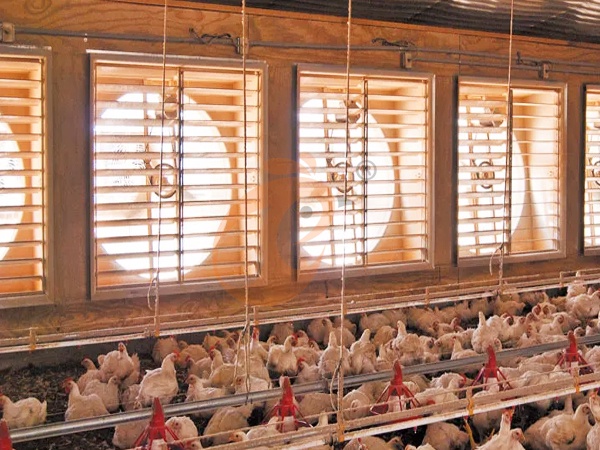 Guía de compra de equipos de control de temperatura para gallineros: Precio, ventiladores, calentadores y búsquedas populares