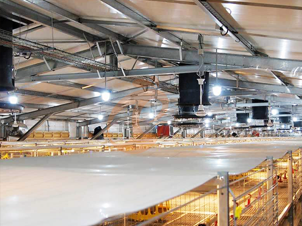 Guía de compra de equipos de iluminación para gallineros: precio, eficiencia energética y rendimiento