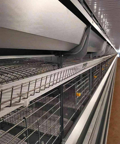 Luoto finished a turnkey project of 30,000 birds p Luoto finished a turnkey project of 30,000 birds p