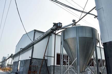 Luoto finished breeder project of raising 105,000 