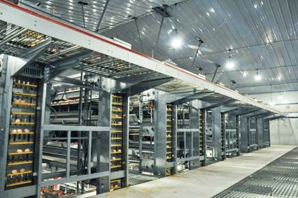 Luoto finished layer project of 30,000 square mete