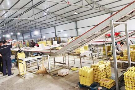 Luoto finished layer project of 30,000 square mete