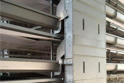 Luoto finished layer project of raising 73,440 bir