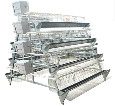 Diferencia entre jaulas para gallinas ponedoras manuales y automáticas Diferencia entre jaulas para gallinas ponedoras manuales y automáticas