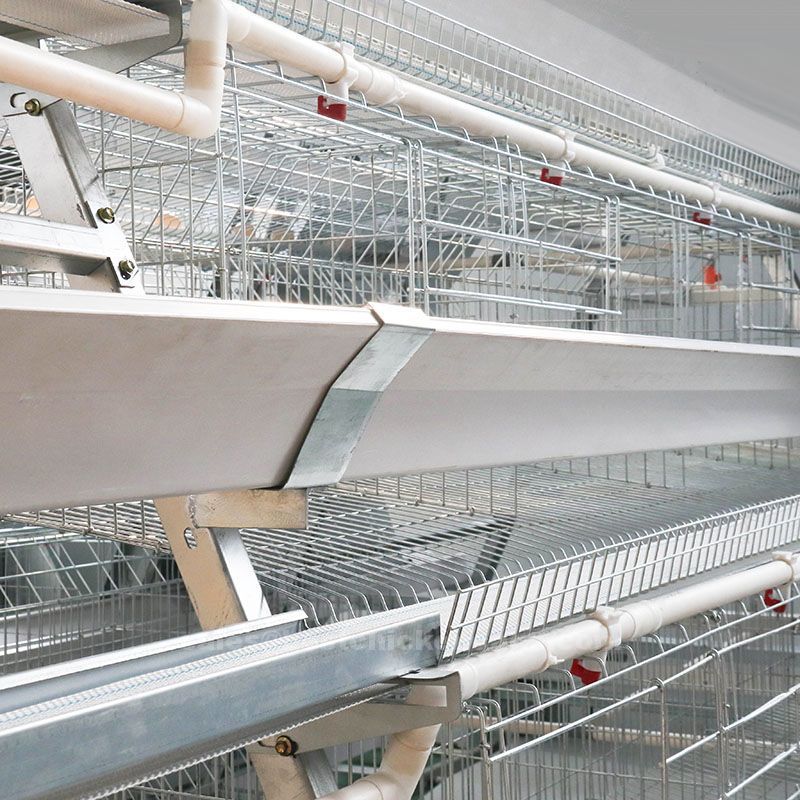 What is battery cage system used for egg laying chicken
