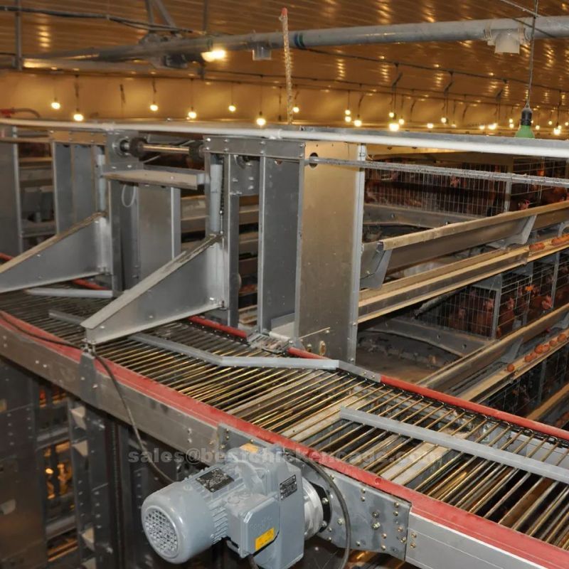 鸡笼或蛋鸡笼H (16).jpg Layers cages commercial chicken cages customizable to accommodate different poultry breeds and sizes for sale