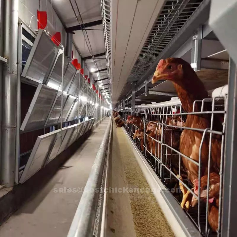 鸡笼或蛋鸡笼H (21).png Characteristics of automatic layer cage for poultry farm the cages are equipped with feeding troughs and water nipples