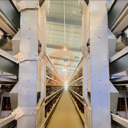 battery cage system for layer (21)