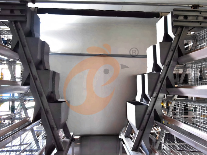 Système de cages en batterie pour couveuses à cadre en A à fonctionnement automatique