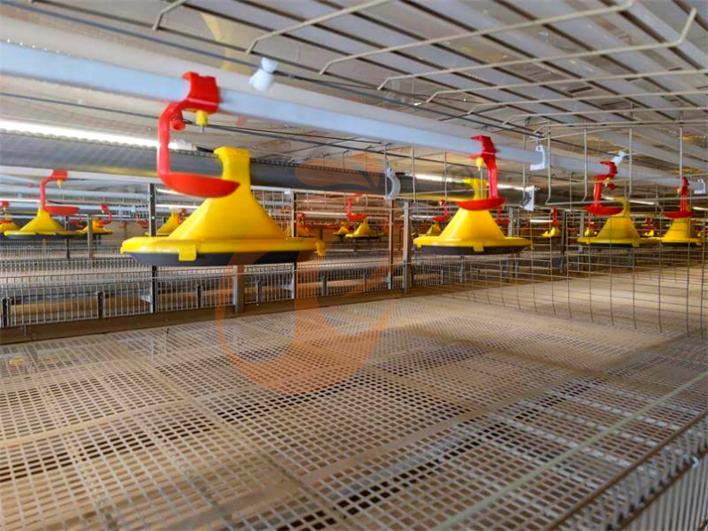 Récolte Automatique de Poulets de Chair en Chaîne, Système Automatique de Batterie de Cages pour Poulets de Chair en Cadre H