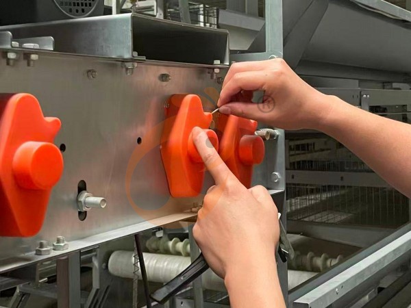 6 étapes essentielles pour installer correctement les cages à poules de type H éthiopiennes dans les fermes avicoles