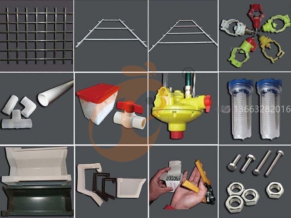 Comment contrôler le gaspillage d’aliments dans une cage pour poules pondeuses de type A en Éthiopie ? 4 méthodes pour réduire les coûts