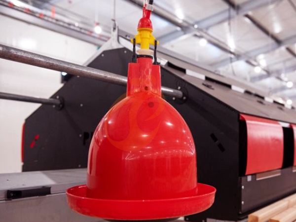 Prix et liste des fournisseurs d'équipements avicoles Plasson | 5 conseils clés