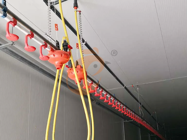 Système d’abreuvement pour cage de poules pondeuses | 6 conseils pratiques de gestion de l’eau