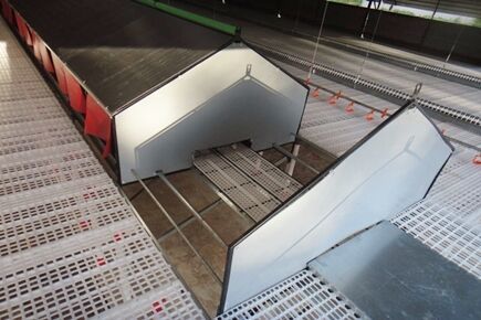 Luoto finished breeder project of breeder floor ra