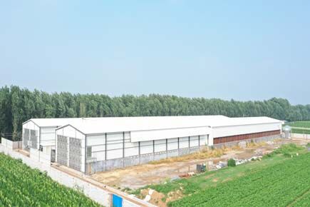 Luoto finished breeder project of raising 105,000 