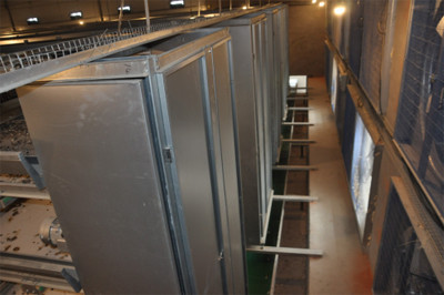 Luoto finished layer project of 34,000 birds with Luoto finished layer project of 34,000 birds with