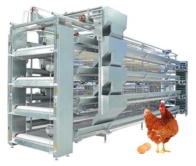 The advantages and disadvantages of chicken cage s