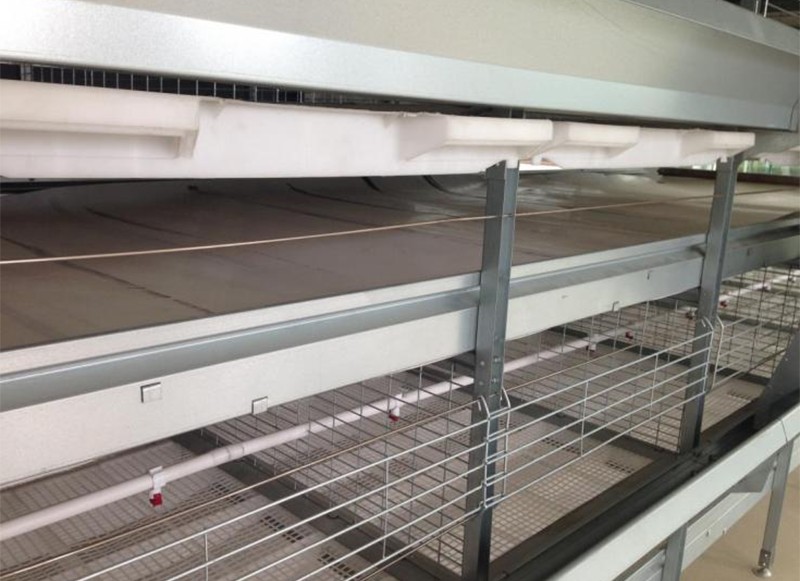 Pullet chicken cage (4).png