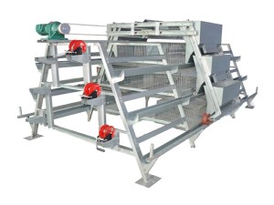 poultry battery cage price (3).png poultry battery cage price (3).png
