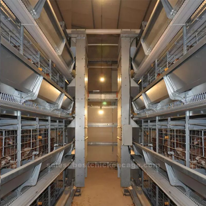 The helpful knowledge of the h type layer chicken battery cages are typically stacked in multiple tiers designed to optimize space utilization