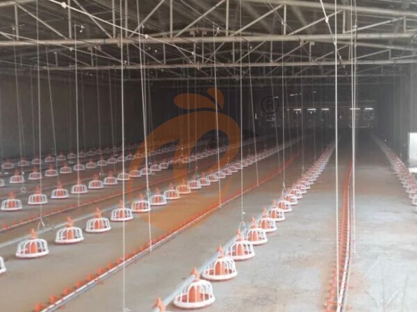 deep litter system (2) deep litter system (2)