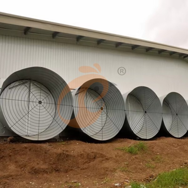 deep litter system 1 (9) deep litter system 1 (9)