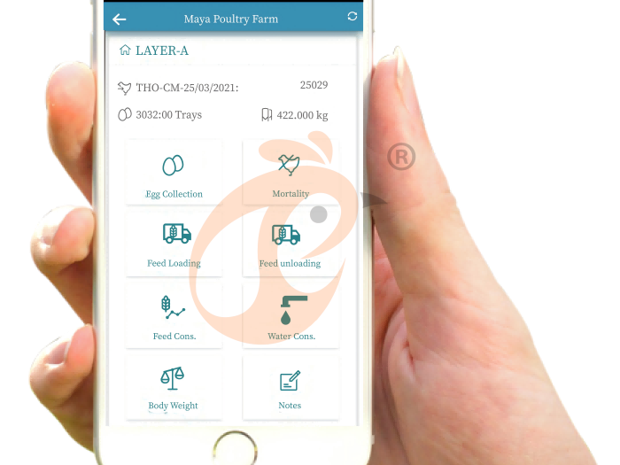 IoT Умная система птицеводства