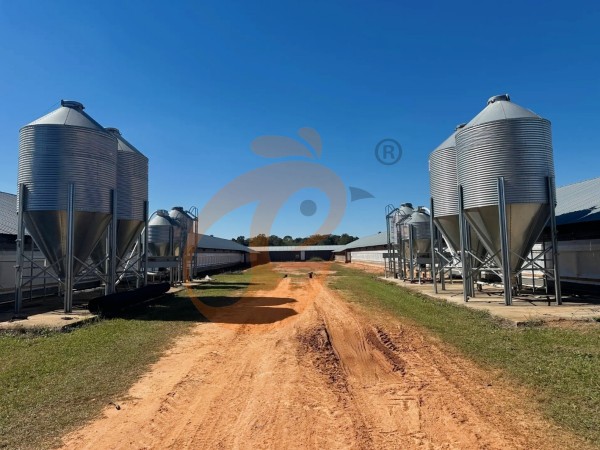 poultry farm (4)