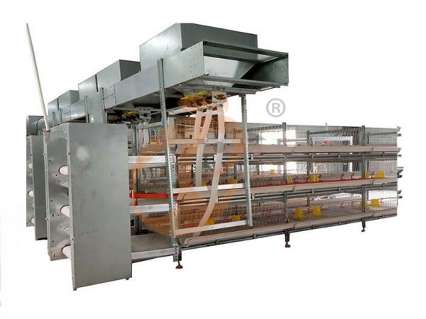 chicken battery cage poultry farm 1 (6)