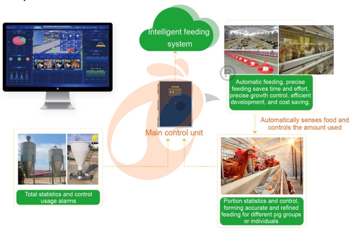 poultry drinking feeding smart (1) 4