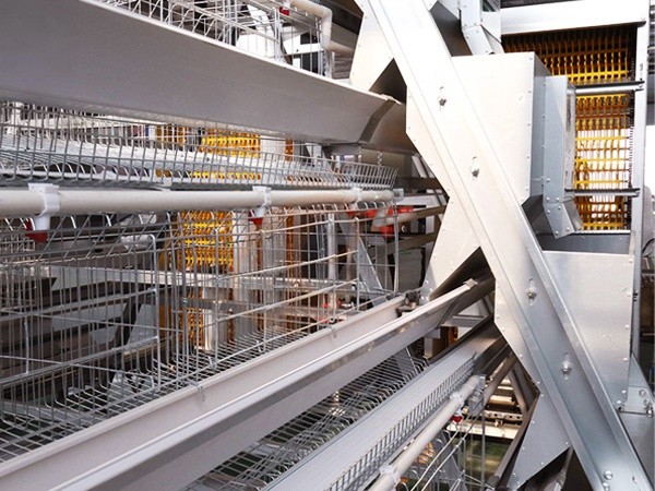 Feed System1 (1)