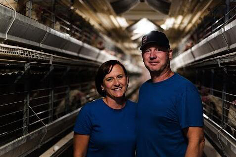 Продажа клеточных батарей для кур-несушек