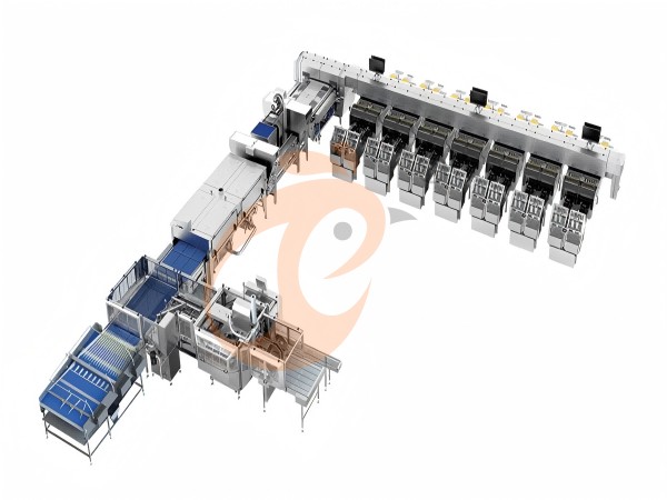 Egg sorting line Egg sorting line