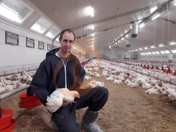 Prefab steel poultry house (4)