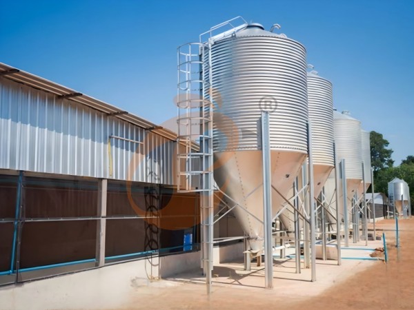 Prefab steel poultry house (5)