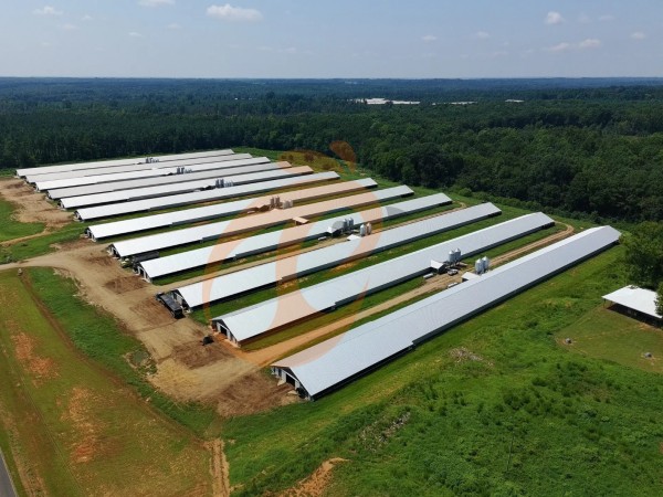 feed silo in large poultry farm